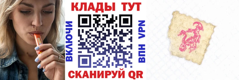A PVP Высоцк