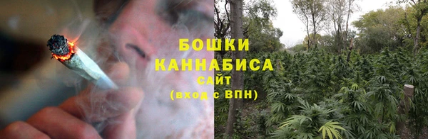сатива Балабаново